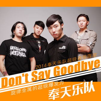 Dont Say Goodbye ()