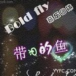 Bold fly