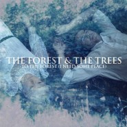 The Forest & The Trees