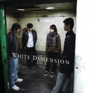 White Dimension
