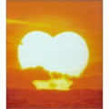 ȺǵČ݋ Хå3 ~the album of LOVE~ ǥ1