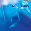 沉思之鲸(Whale Meditat