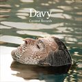 专辑Davy