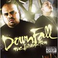 Downfallר The Introduction