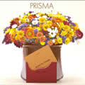 专辑Prisma