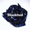 专辑Blackbud