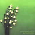 专辑Sentimental Green