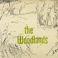 专辑The Woodlands