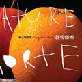 专辑橘子与苹果