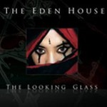专辑The Looking Glass