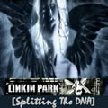 专辑Splitting The DNA CD2
