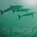 专辑Silence 2