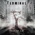 Terminalר Tree Of Lie