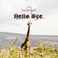 Serengetiר Hello, Bye