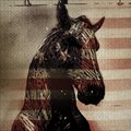 Live Horses (EP)