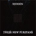 专辑Hidden