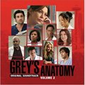 ԭ - Grey's Anatomy Vol.2(ʵϰҽ ڶ)