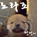 Norazoר 멍멍이 (Digital Single)