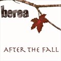 Bereaר After the Fall