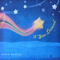 David Wahlerר A Star Danced