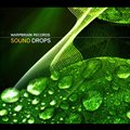 专辑Sound Drops(2010)