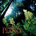 专辑Forest Piano