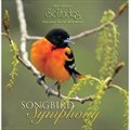 专辑Songbird Symphony