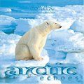 ɭ Dan Gibsonר Arctic Echoes