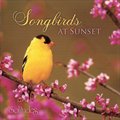 ɭ Dan Gibsonר Songbirds At Sunset