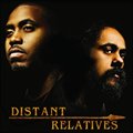 Nas and Damian MarleyČ݋ Distant Relatives