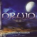 Medwyn Goodallר Druid II