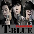 T-Blueר Transform (Single)