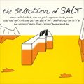 ιܵר The Selection of SALT