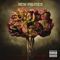 New PoliticsČ݋ New Politics