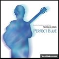 Sungha Jungר Perfect Blue