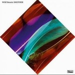 Wild BeastsČ݋ Smother