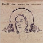 David SylvianČ݋ Died In The Wool