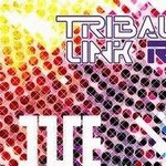 专辑TRIBAL LINK-R
