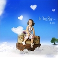 ׼ר In The Sky()