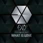 EXO-Kר What Is Love(İ)