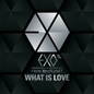 EXO-Mר What Is Love(İ)