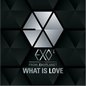 EXOČ݋ What Is Love (Single)
