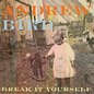 Andrew BirdČ݋ Break It Yourself