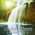 Chakras Dreamר Healing Touch