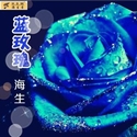 蓝玫瑰(单曲)