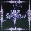 ؈(BLACK CAT)Č݋ ɫΥꥶ쥯