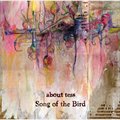 About Tessר Song of the bird