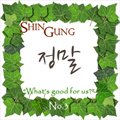 신궁(Shin Gung)ר What`s Good For Us? No.3 (Single)