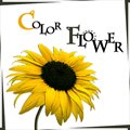 专辑Color Flower