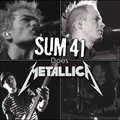 Sum 41ר Sum 41 dose Metallica